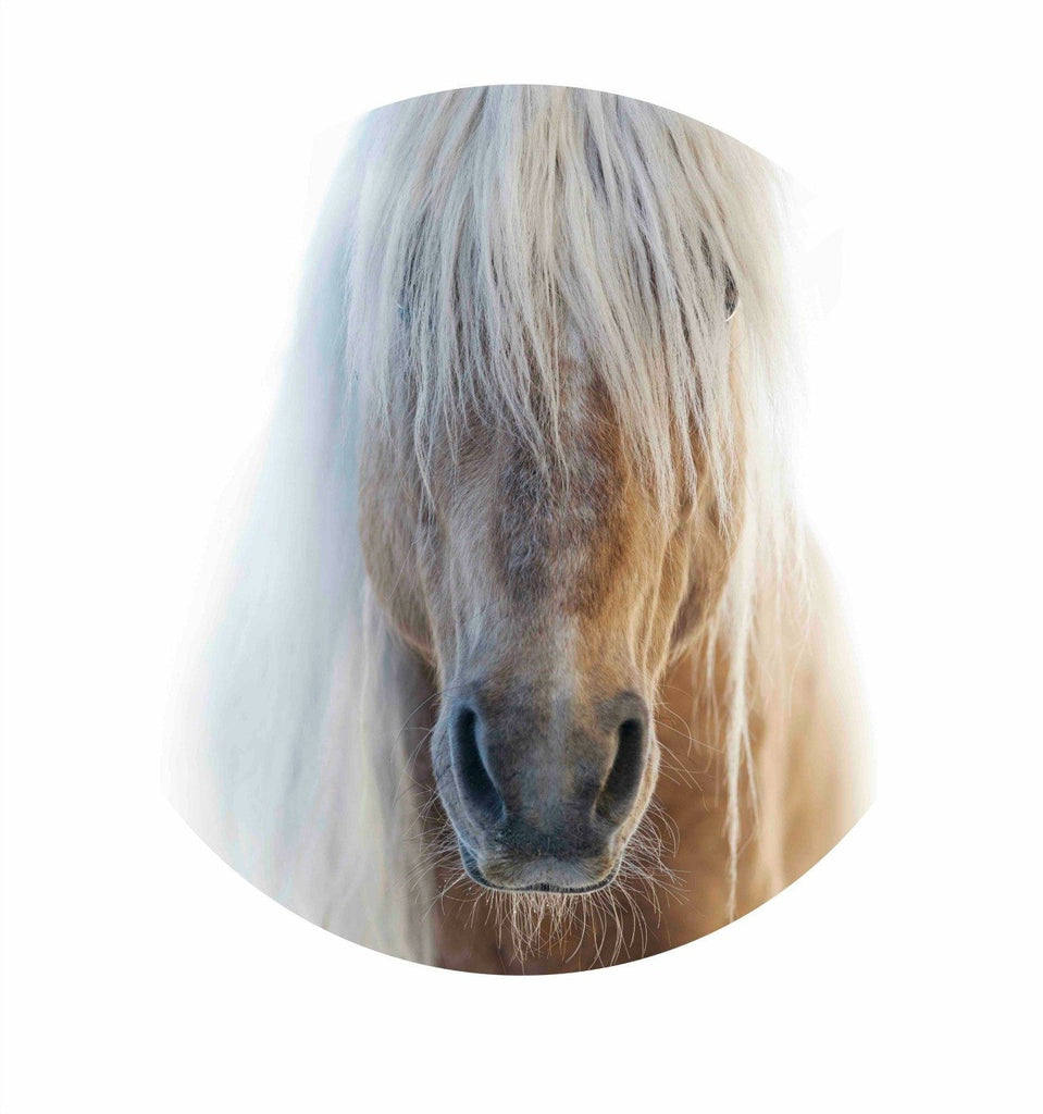 "Free" horse decal - Wondermade