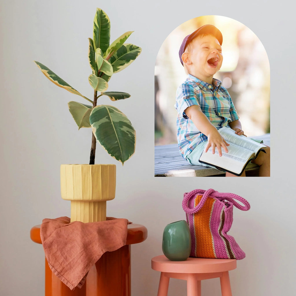 Custom Photo Arch - Bundles - Wondermade