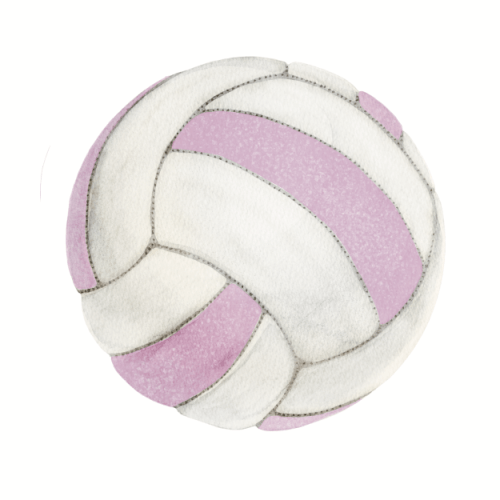 Netball decal pack - Multi - Wondermade