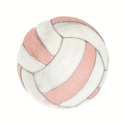 Netball decal pack - Multi - Wondermade