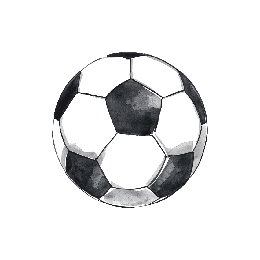 Sports Balls Singles - Soccer, Tennis, Netball, Sherrin, Cricket and Basketball - Wondermade