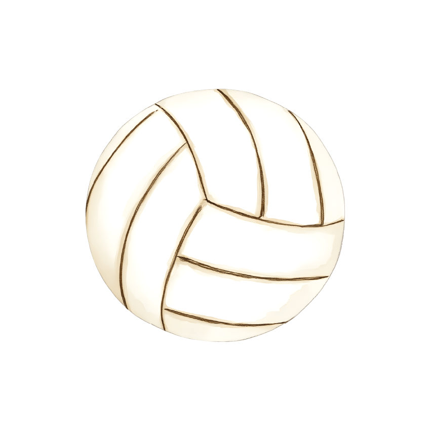 Sports Balls Singles - Soccer, Tennis, Netball, Sherrin, Cricket and Basketball - Wondermade