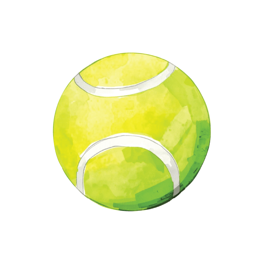 Sports Balls Singles - Soccer, Tennis, Netball, Sherrin, Cricket and Basketball - Wondermade