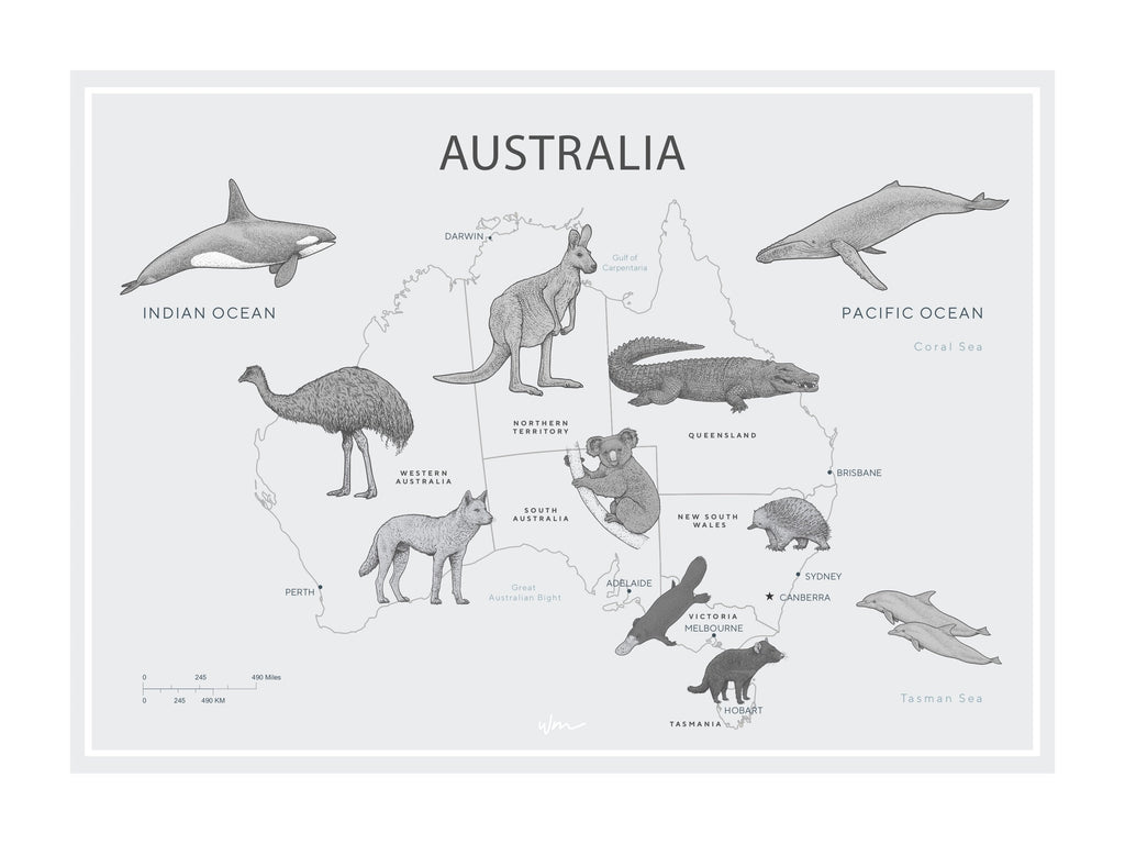 Australia Map poster decal - Several colours. - Wondermade