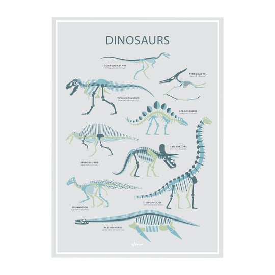 Dinosaur skeletons poster decal - Minimalist