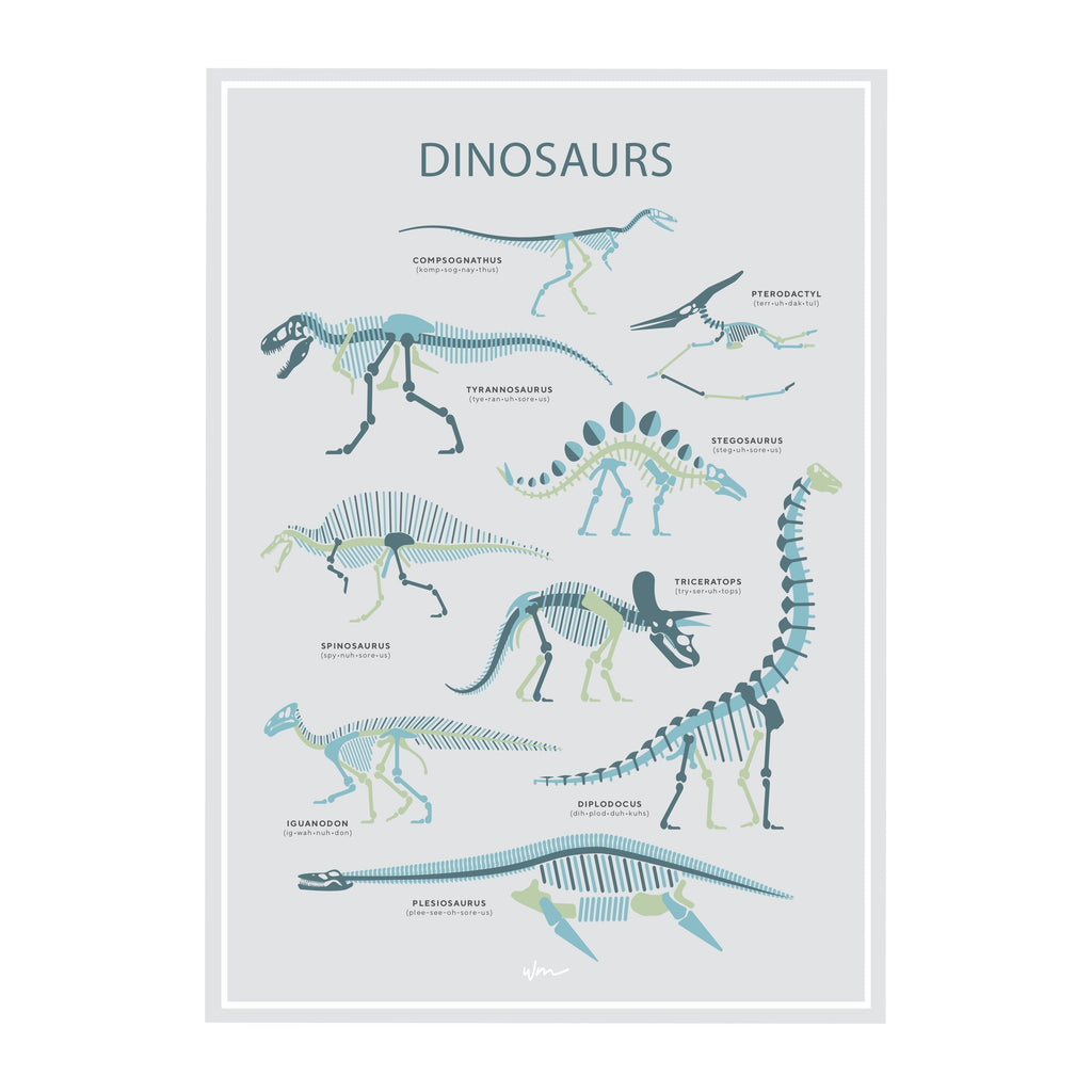 Dinosaur skeletons poster decal - Minimalist - Wondermade