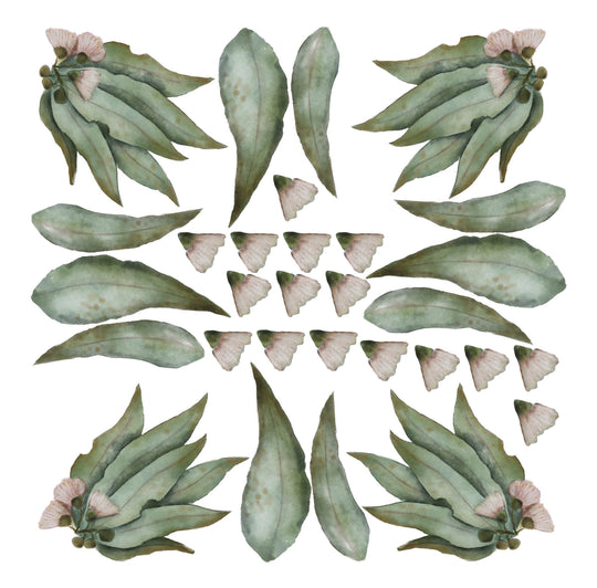 Eucalyptus leaves - hand drawn watercolour